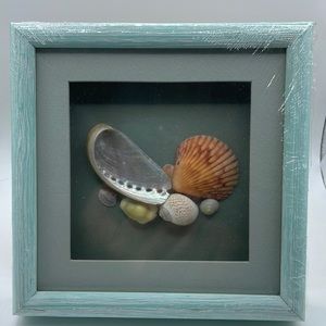 Shell Shadow Box Frame